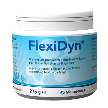 FlexiDyn