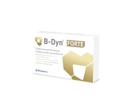 Bdyn Forte (B-Dyn Forte)