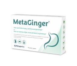 MetaGinger